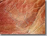 Nazca-Line-Shape